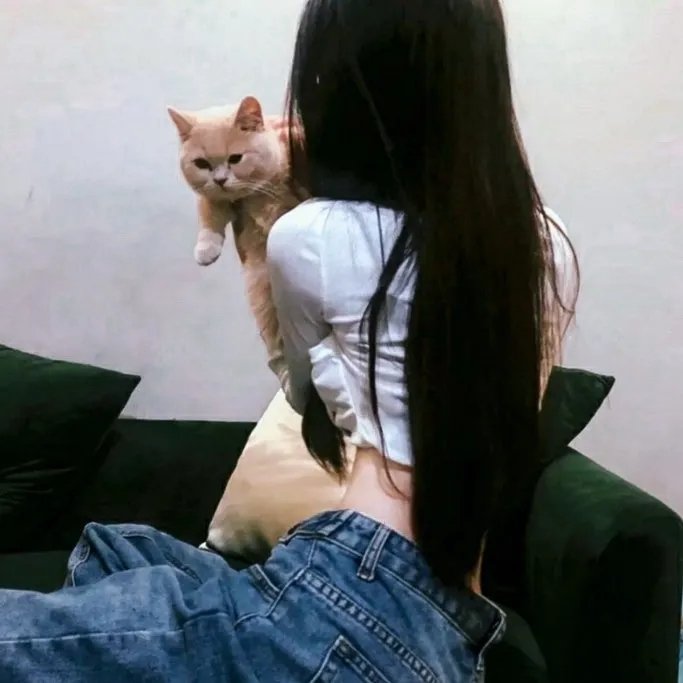 孤胆江湖
